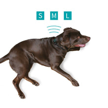 Pet Acoustics Ultra Calmer Canine Stress Relief sonic Collar (S, M, L)