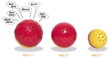 Pet Qwerks BABBLE BALLS - Talking  or Animal Sounds or Cat Sounds