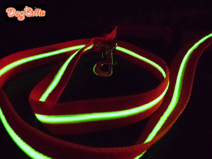 Brite Dog Waterproof Lighted (EL) Leash - rechargeable (green or red fabric, with bright green light)