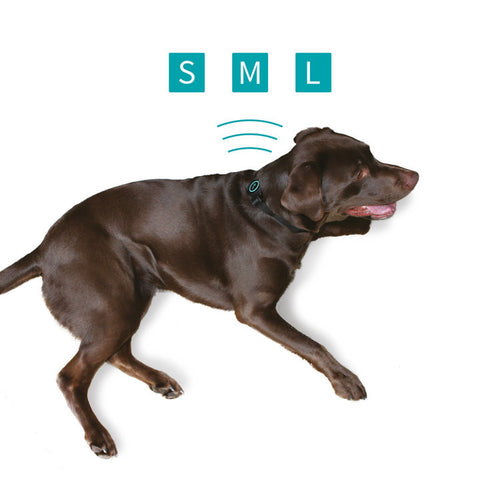 Pet Acoustics Ultra Calmer Canine Stress Relief sonic Collar (S, M, L)